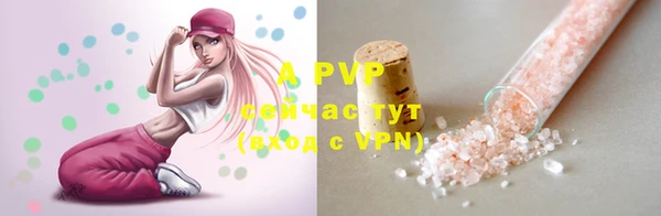 молекула духа Абинск