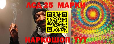 индика Камышлов