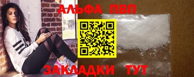 индика Камышлов