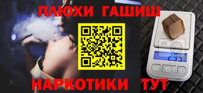 индика Камышлов