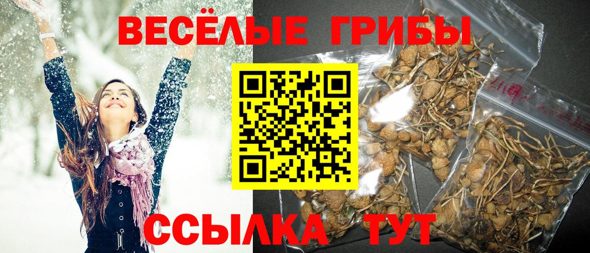 Псилоцибиновые грибы Magic Shrooms Россошь