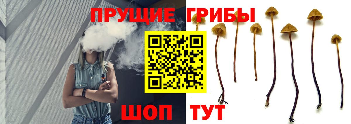 Псилоцибиновые грибы Magic Shrooms  Псилоцибиновые грибы Psilocybine cubensis  Вход с VPN  Россошь 